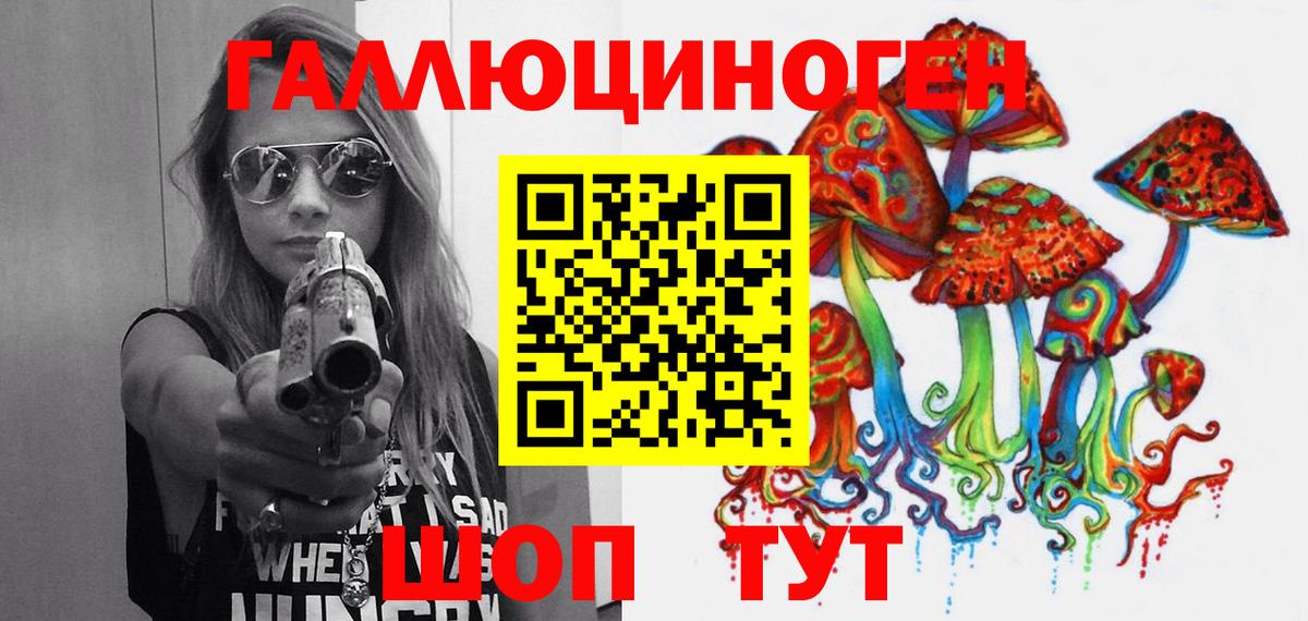 как найти закладки  Заволжье  Галлюциногенные грибы Magic Shrooms 