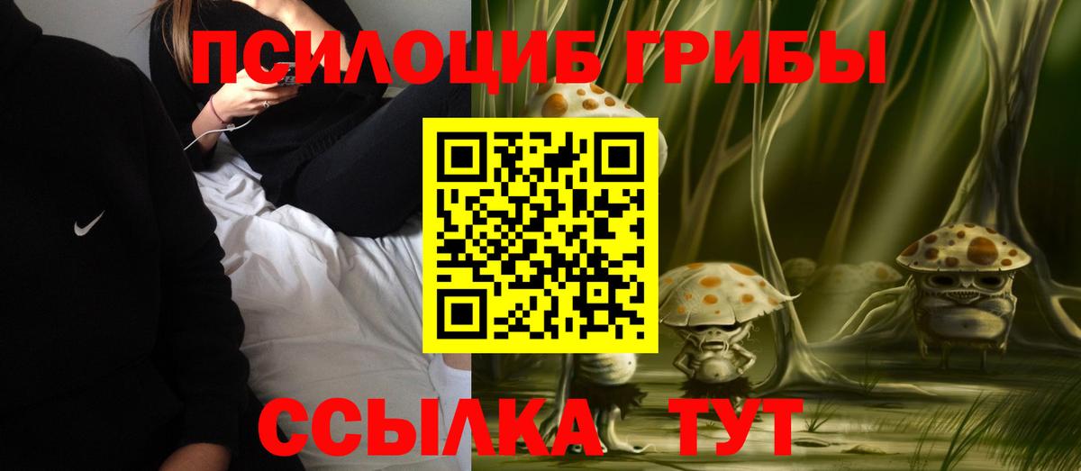 Заволжье  Галлюциногенные грибы мицелий  Вход с VPN 