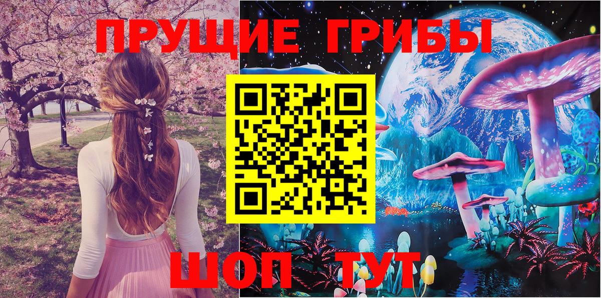 Псилоцибиновые грибы прущие грибы Заволжье