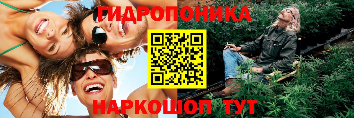 Каннабис семена  Заволжье  Марихуана ГИДРОПОН  Каннабис планчик  Бошки марихуана LSD WEED 